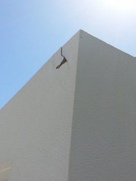 jgal_10.jpg_360x480.jpg