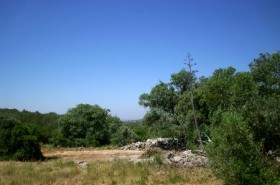 a004.jpg