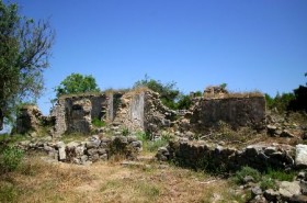 a006.jpg