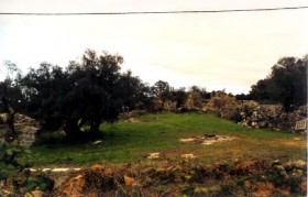 a008.jpg