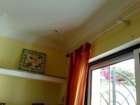 05112008525.jpg