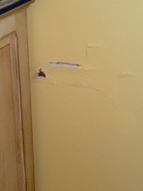 05112008530.jpg