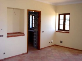 121.jpg